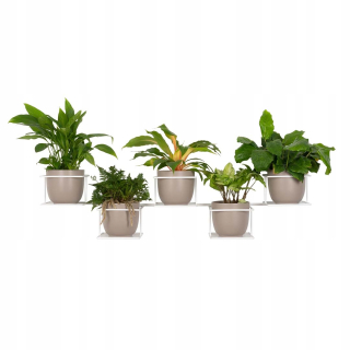 Stojan na kvety - Stojan na kvety 108 cm kovový Stojan na kvety Jungle 4